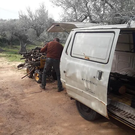 Hellas Palace Center *