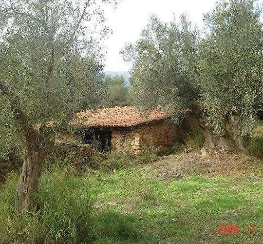 Hellas Palace Center *