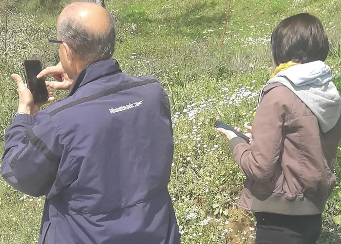 Hellas Palace Center Frühstückspension *