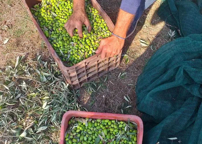 Frühstückspension Hellas Palace Center *