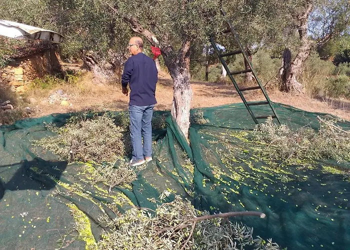 Hellas Palace Center Sparta