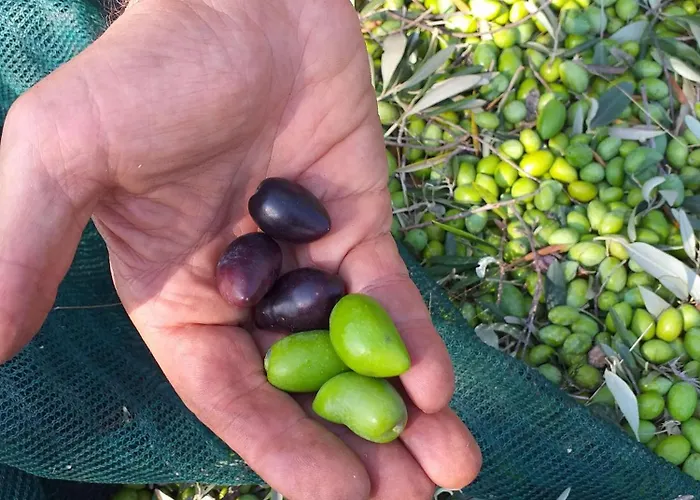 Hellas Palace Center *